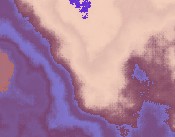 entwicklung