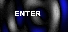website entwicklung