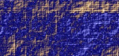 lauster entwicklung