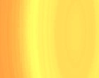 software entwicklung web design