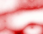 development prototyp