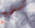 entwicklung embryo